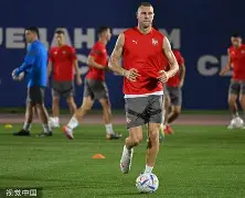 关于塞尔维亚国家队在竞技场上大放异彩，实力强大的信息